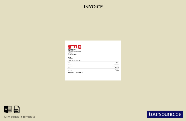 lista para imprimir plantilla de factura de Netflix de EE. UU.